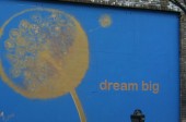 IMG_0048_2